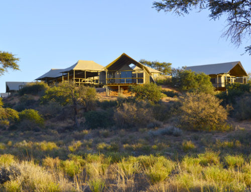 Polentswa Tented Camp in the Kgalagadi Transfrontier Park
